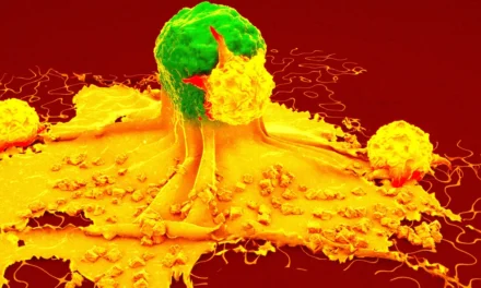 Doctors Intrigued by Shot That Prevents Multiple Types of Cancer in Mice
