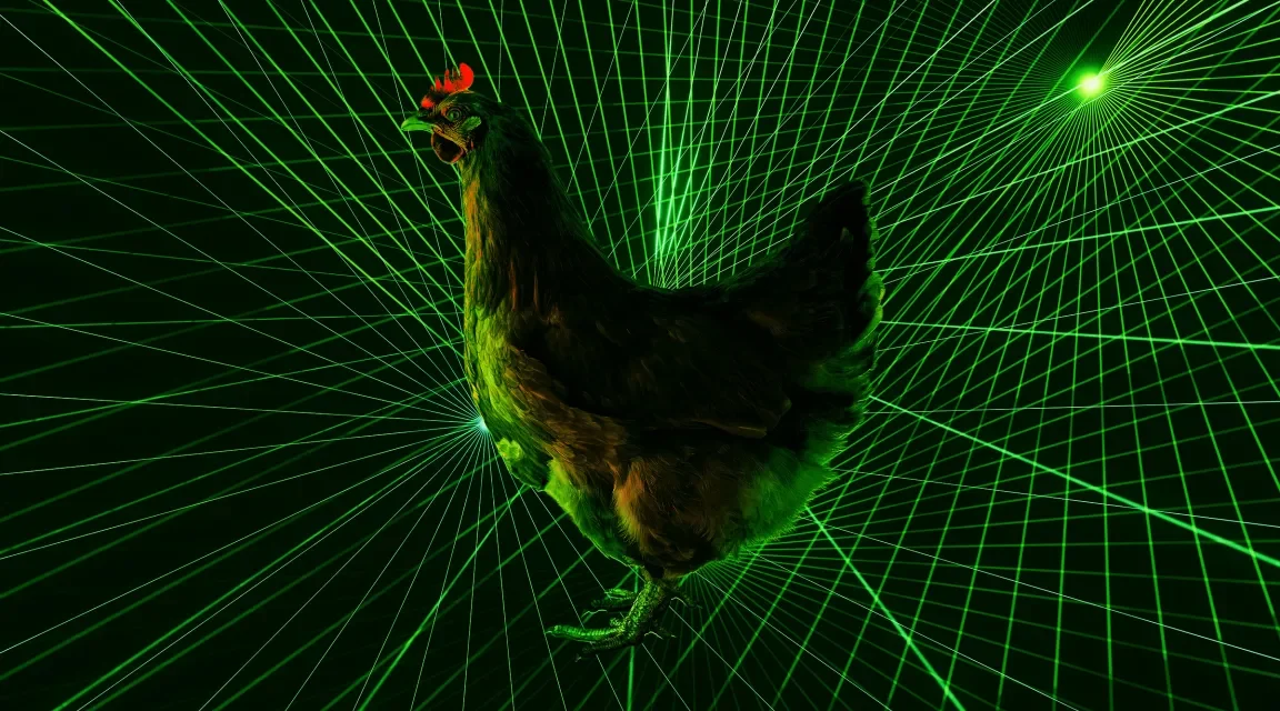 Japanese Farmers Send Out Automated Laser Drones to Defend Chickens