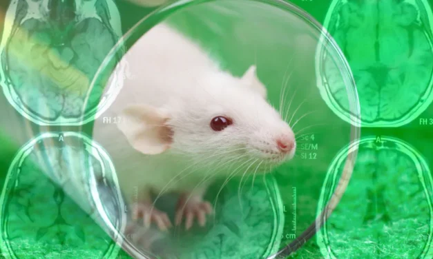 Nanoparticle Treatment Reverses Alzheimer’s in Mice