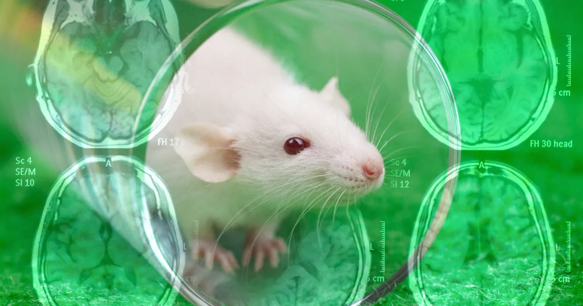 Nanoparticle Treatment Reverses Alzheimer’s in Mice