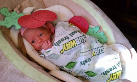Subway Baby Blanket Turns Your Little One Into a Subway Sandwich
