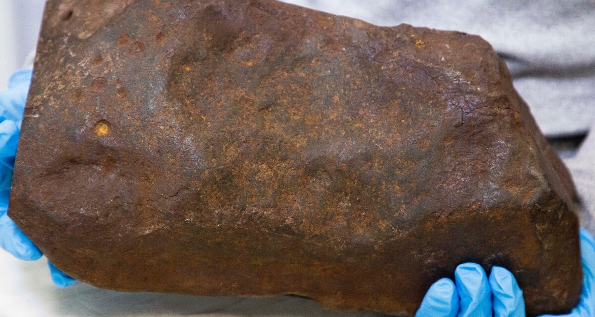 Man Keeps Rock For Years, Hoping It’s Gold. It Turned Out to Be Way More Valuable.