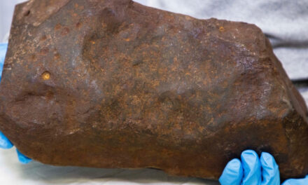 Man Keeps Rock For Years, Hoping It’s Gold. It Turned Out to Be Way More Valuable.