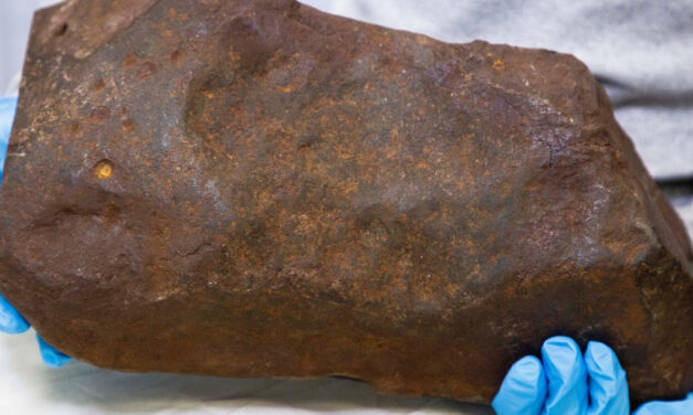 Man Keeps Rock For Years, Hoping It’s Gold. It Turned Out to Be Way More Valuable.