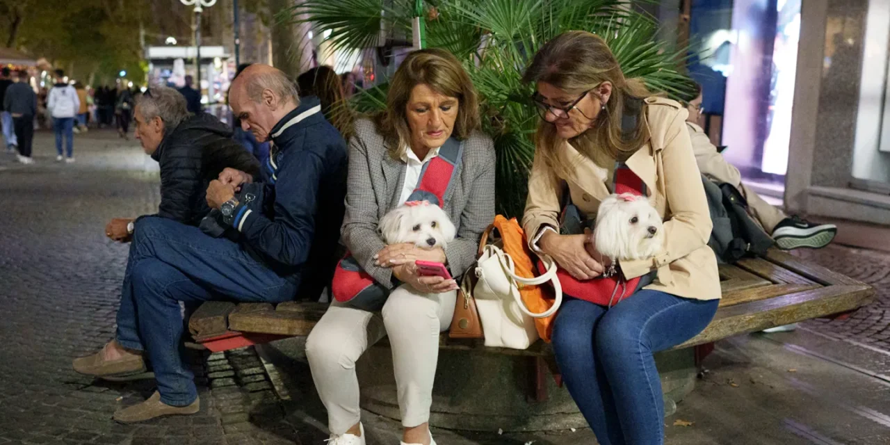 Dog tax slammed as ‘short-sighted and unfair’ as tourist hot spot aims for public-area cleanup