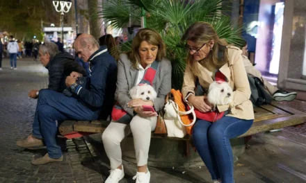 Dog tax slammed as ‘short-sighted and unfair’ as tourist hot spot aims for public-area cleanup