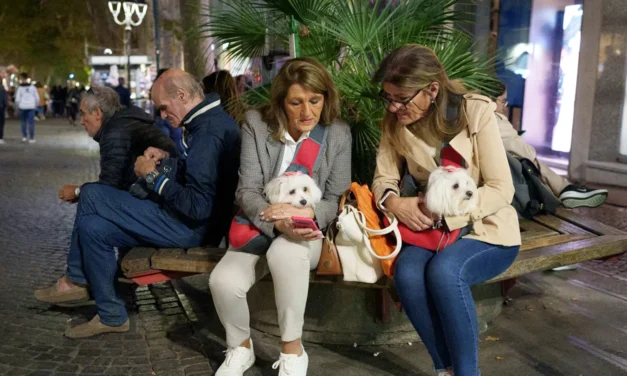 Dog tax slammed as ‘short-sighted and unfair’ as tourist hot spot aims for public-area cleanup