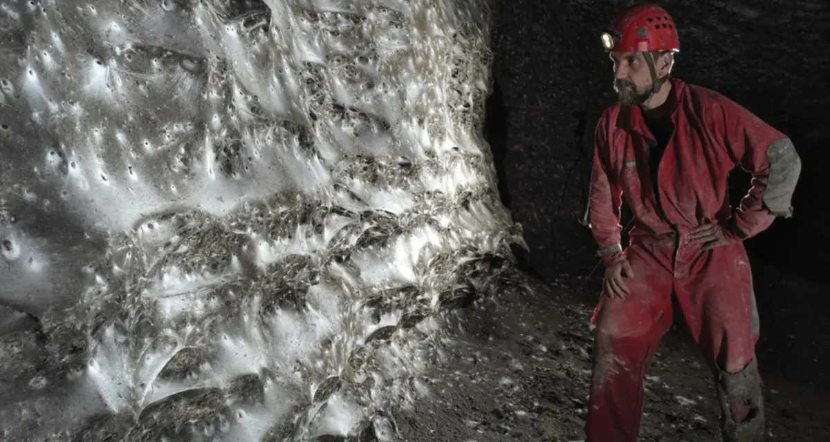 Nightmare Fuel – The World’s Largest Spider Web Is Home to Over 111,000 Spiders