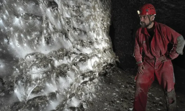 Nightmare Fuel – The World’s Largest Spider Web Is Home to Over 111,000 Spiders