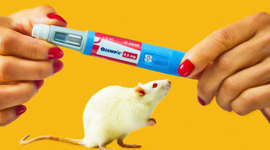 Low Doses of Ozempic-Like Drug Can Counteract Aging in Older Mice, Study Finds