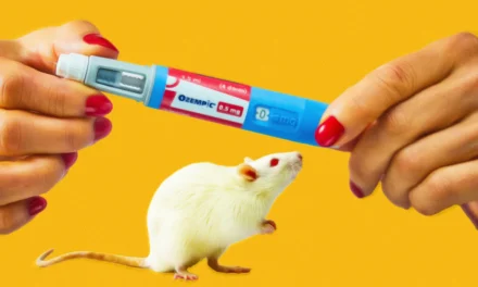 Low Doses of Ozempic-Like Drug Can Counteract Aging in Older Mice, Study Finds