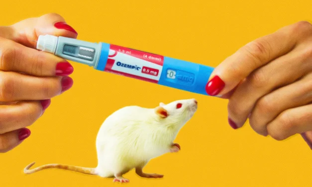 Low Doses of Ozempic-Like Drug Can Counteract Aging in Older Mice, Study Finds