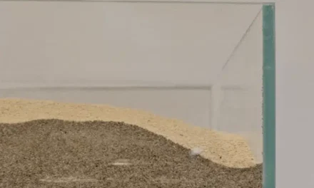 This Soft Robot Is 100% Edible, Including the Battery