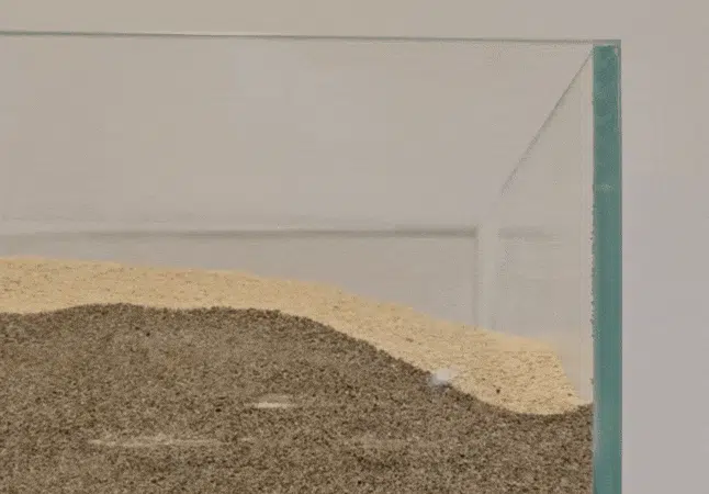 This Soft Robot Is 100% Edible, Including the Battery