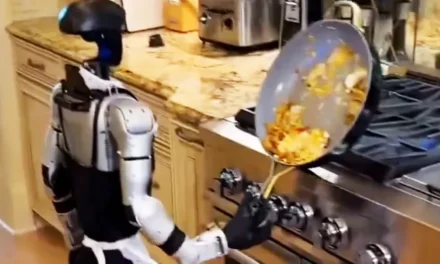 Disastrous Video Shows Robot Trying to Cook, Destroying Interior of House