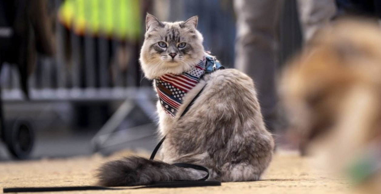 Furry felons: 5 true stories of creature crime