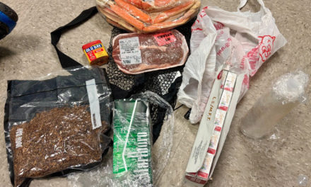 Drone drops steak and crab legs for prisoner feast but South Carolina guards find it first