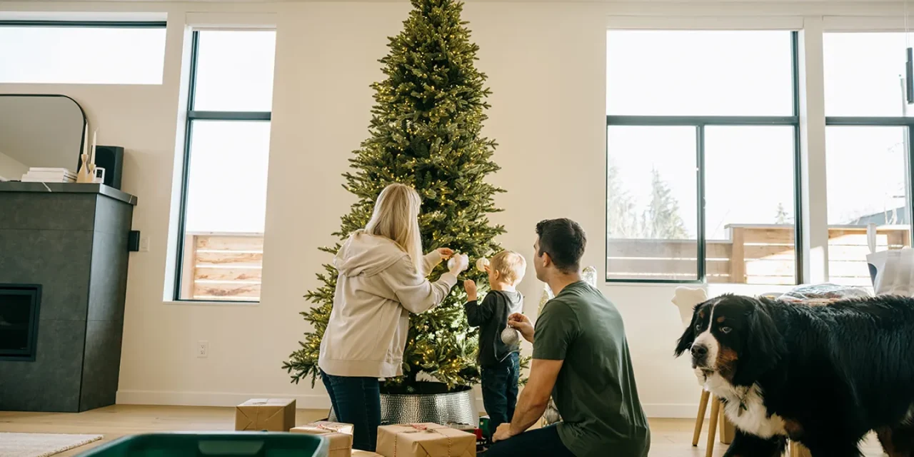 Strange celebrity ‘naked Christmas tree’ trend sparks pushback: ‘Ornaments are a must’