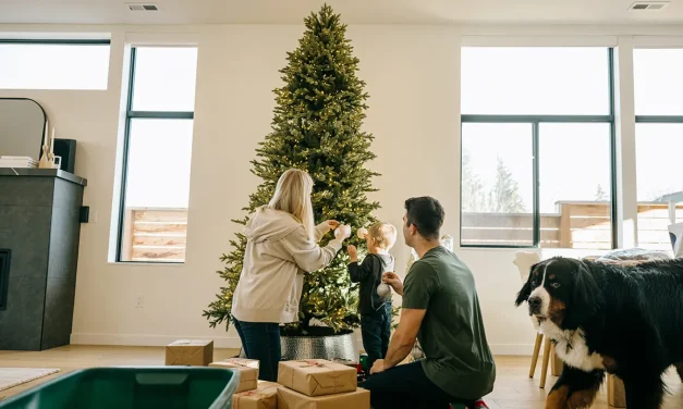 Strange celebrity ‘naked Christmas tree’ trend sparks pushback: ‘Ornaments are a must’