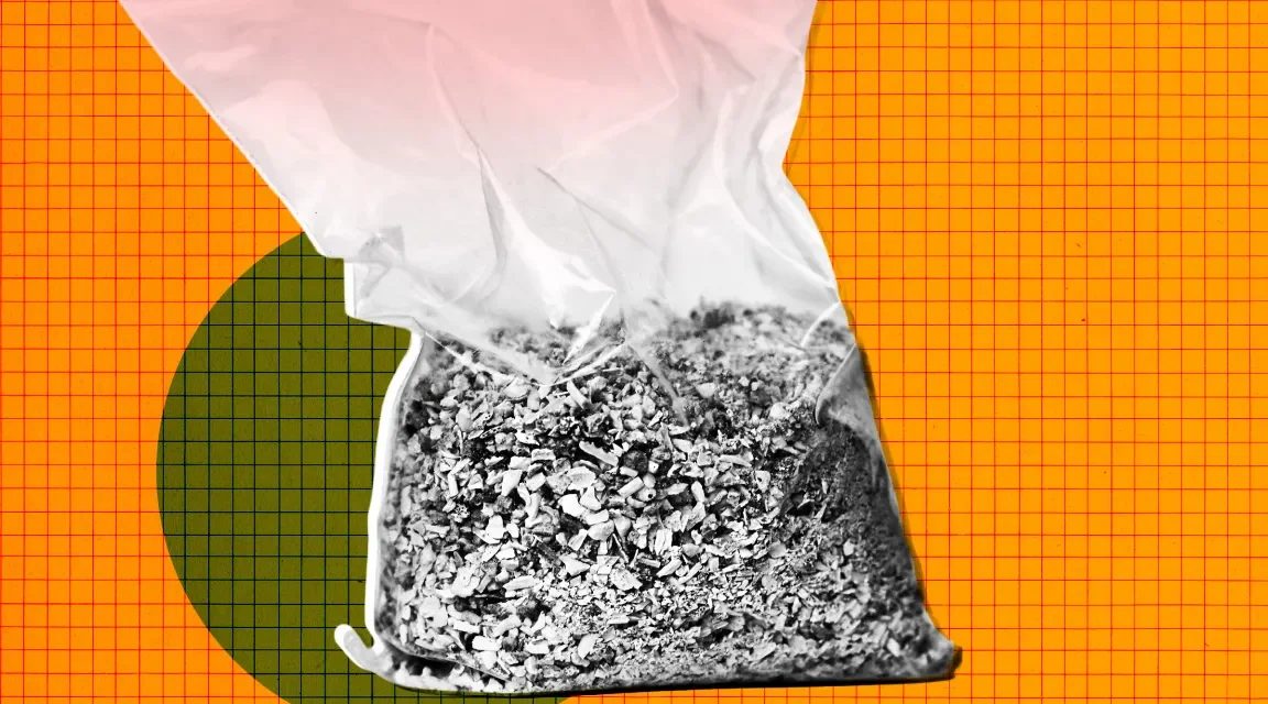 You Will Never Guess What This Startup Is Turning Human Remains Into