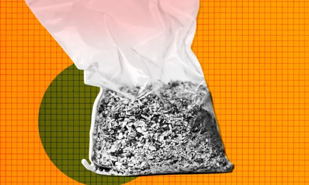 You Will Never Guess What This Startup Is Turning Human Remains Into