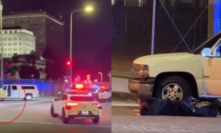 Cops Stunned as Waymo Cruises Through Active Police Standoff