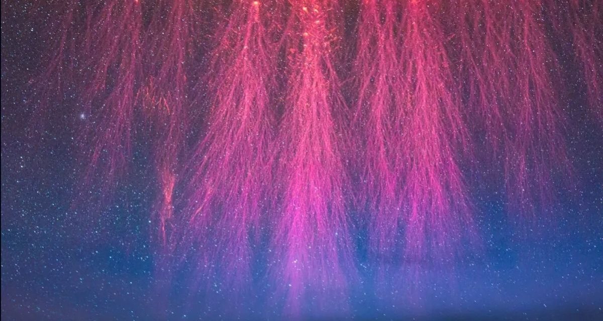 Lightning Comes in Many Strange Forms. Here’s The Science.