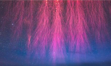 Lightning Comes in Many Strange Forms. Here’s The Science.