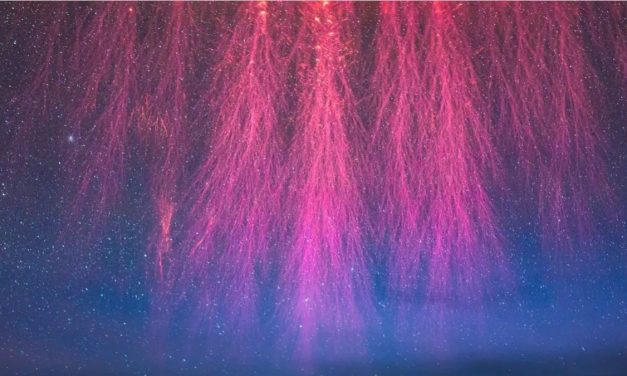 Lightning Comes in Many Strange Forms. Here’s The Science.