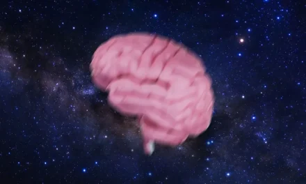 Astronauts’ Brains Are Being Displaced