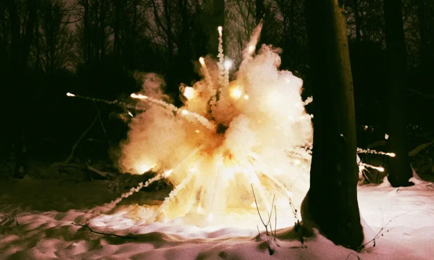 Meteorologist Warns That Winter Storm Means Trees Are About to Start Exploding