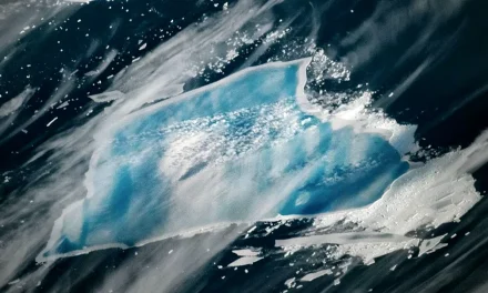Antarctica’s Former Largest Iceberg Is Now Completely Disintegrating