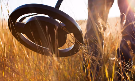 A Teenager Discovered a Ring on a Hike—Turns Out, It’s 1,800 Years Old