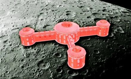 Moon Hotel Now Taking Reservations