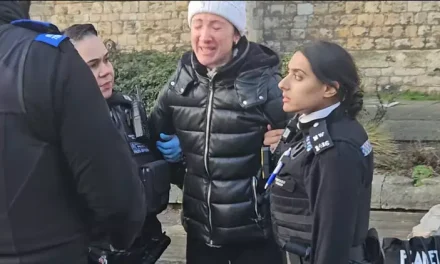 Shocking moment woman is arrested and fined for feeding pigeons