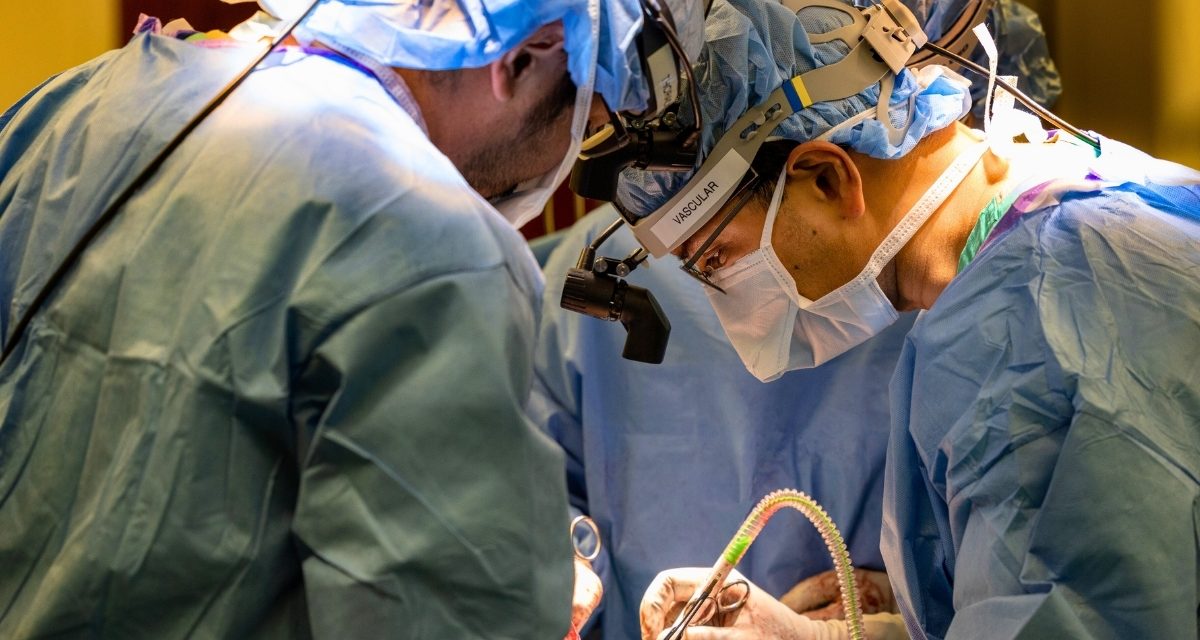 Surgeons Kept a Man Alive With No Lungs For 48 Hours. Here’s How.