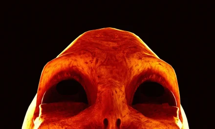 If Scientists Ever Find Strong Evidence of Alien Life, Communicating It Will Pose Serious Issues