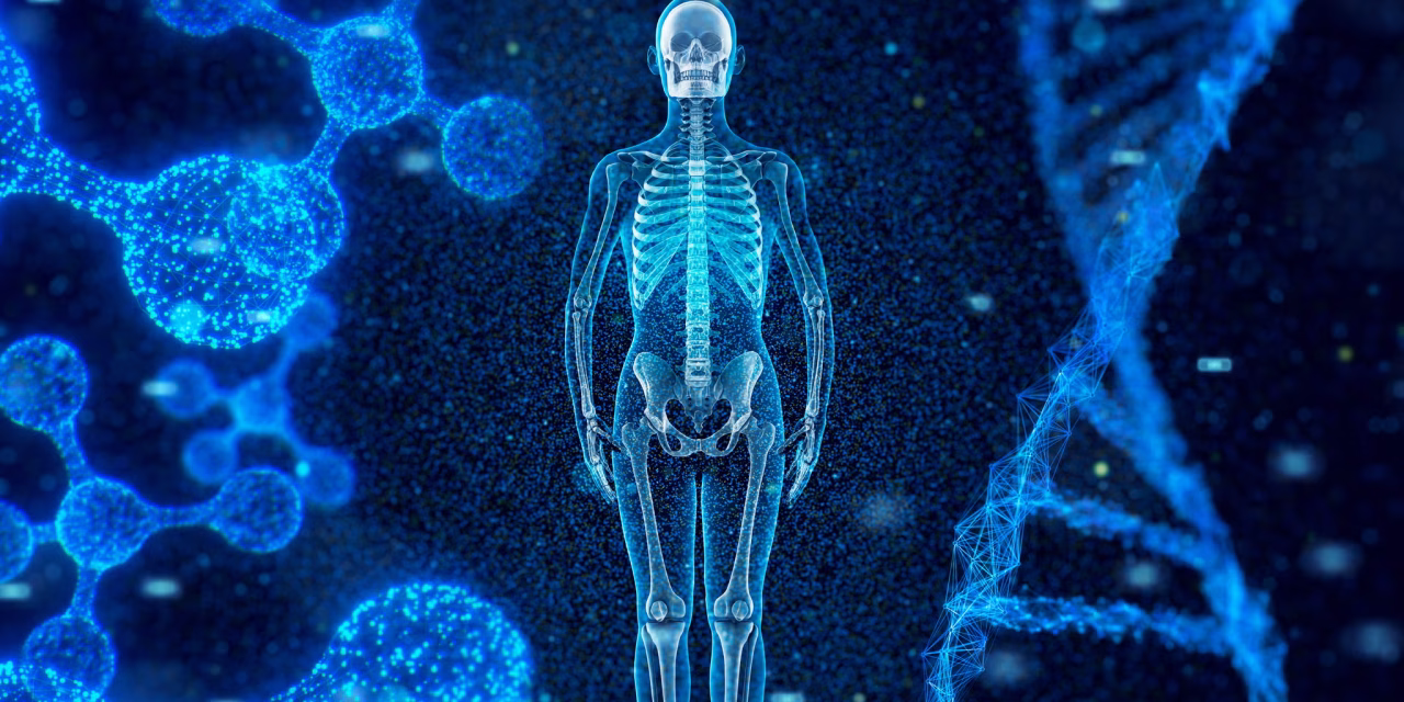 This Breakthrough Injectable Can Reprogram Your Cells—To Regrow Parts of Your Body