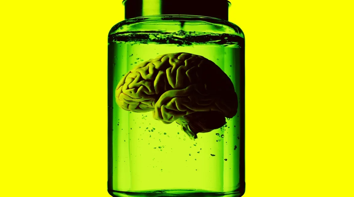 Lab-Grown Brains Growing More Powerful