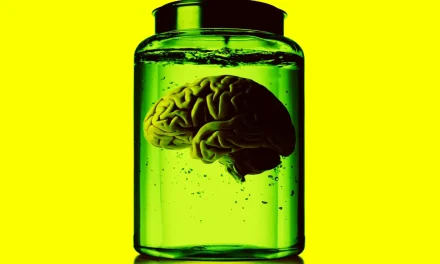 Lab-Grown Brains Growing More Powerful