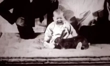 ‘Most unethical human experiment of all time’ was followed-up one month later to see true impact