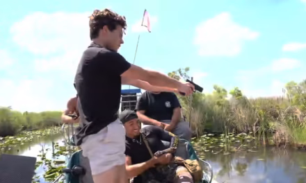 Clavicular arrested for assault as wildlife officials investigate streamer for shooting gator: Report