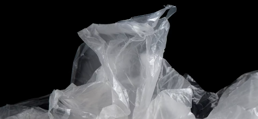 Researchers develop biodegradable, plant?based packaging from natural fibers – new research