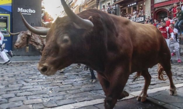 Sheriff’s office warns of bull on the loose in Kansas