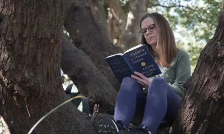 People ‘bathe’ in nature to get respite from chaotic news cycle