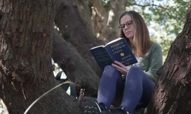 People ‘bathe’ in nature to get respite from chaotic news cycle