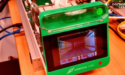 Researchers Get Human Brain Cells Running Doom