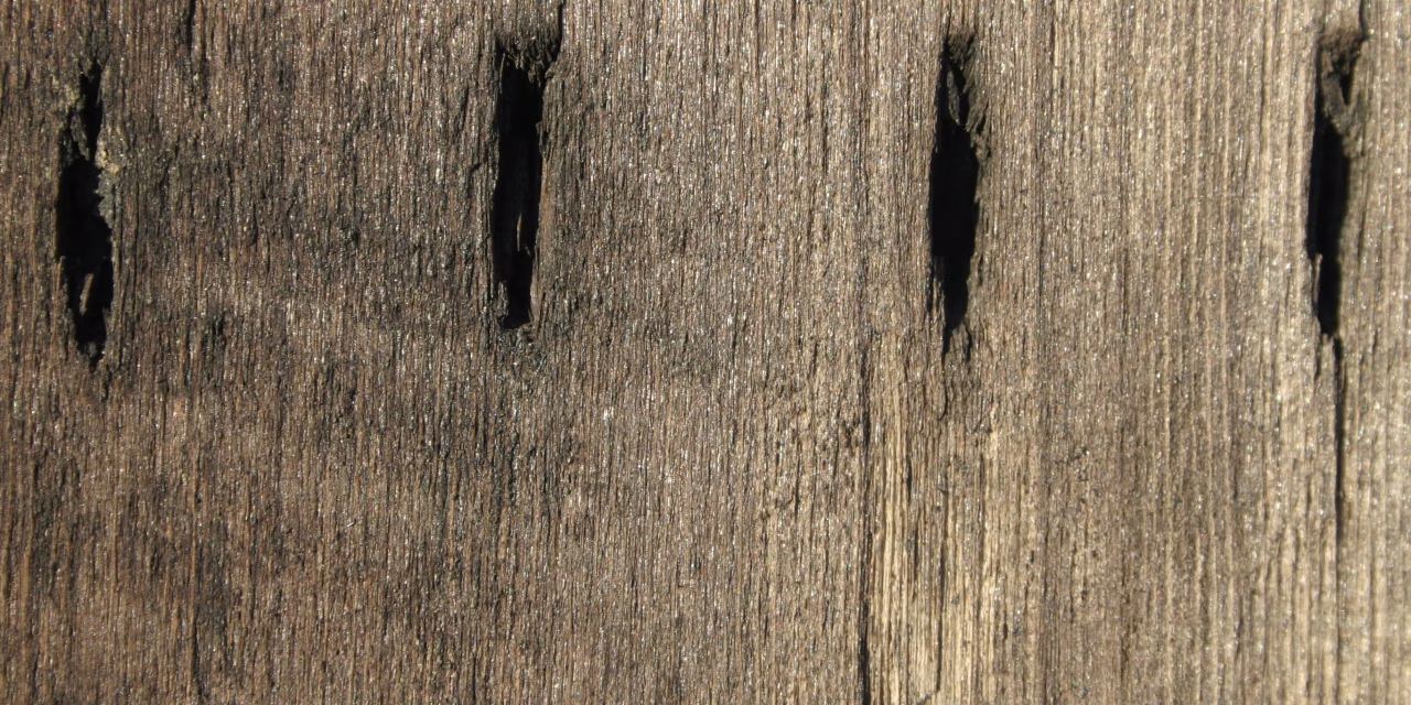 Archaeologists May Have Discovered the Oldest Form of Writing—Ever