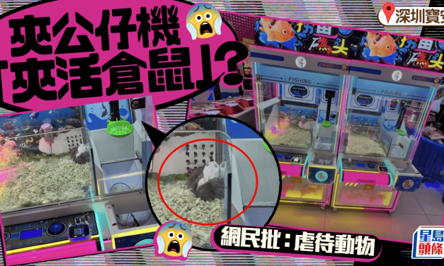 Arcade Draws Criticism for Using Live Hamsters as Prizes in Claw Machine Game