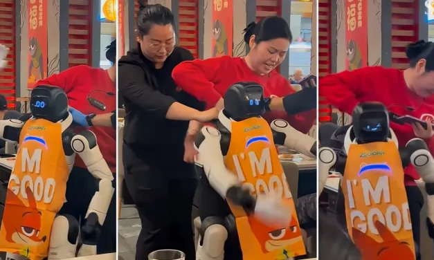 Robot Goes Berserk in California Restaurant, Dragged Away by Staff After Smashing Tableware